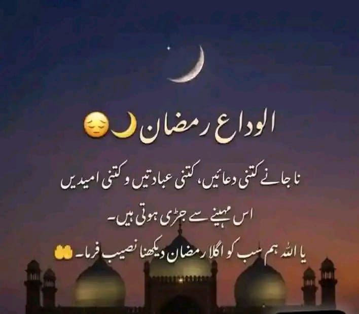 Hunbli Khokhar 🌸🌸 tweet media