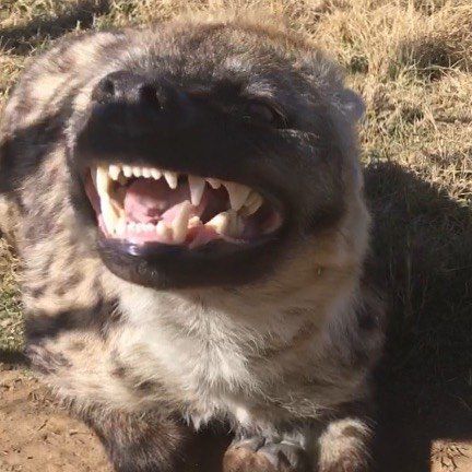 HourlyYeen tweet media