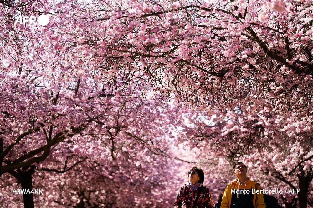 AFP News Agency tweet media