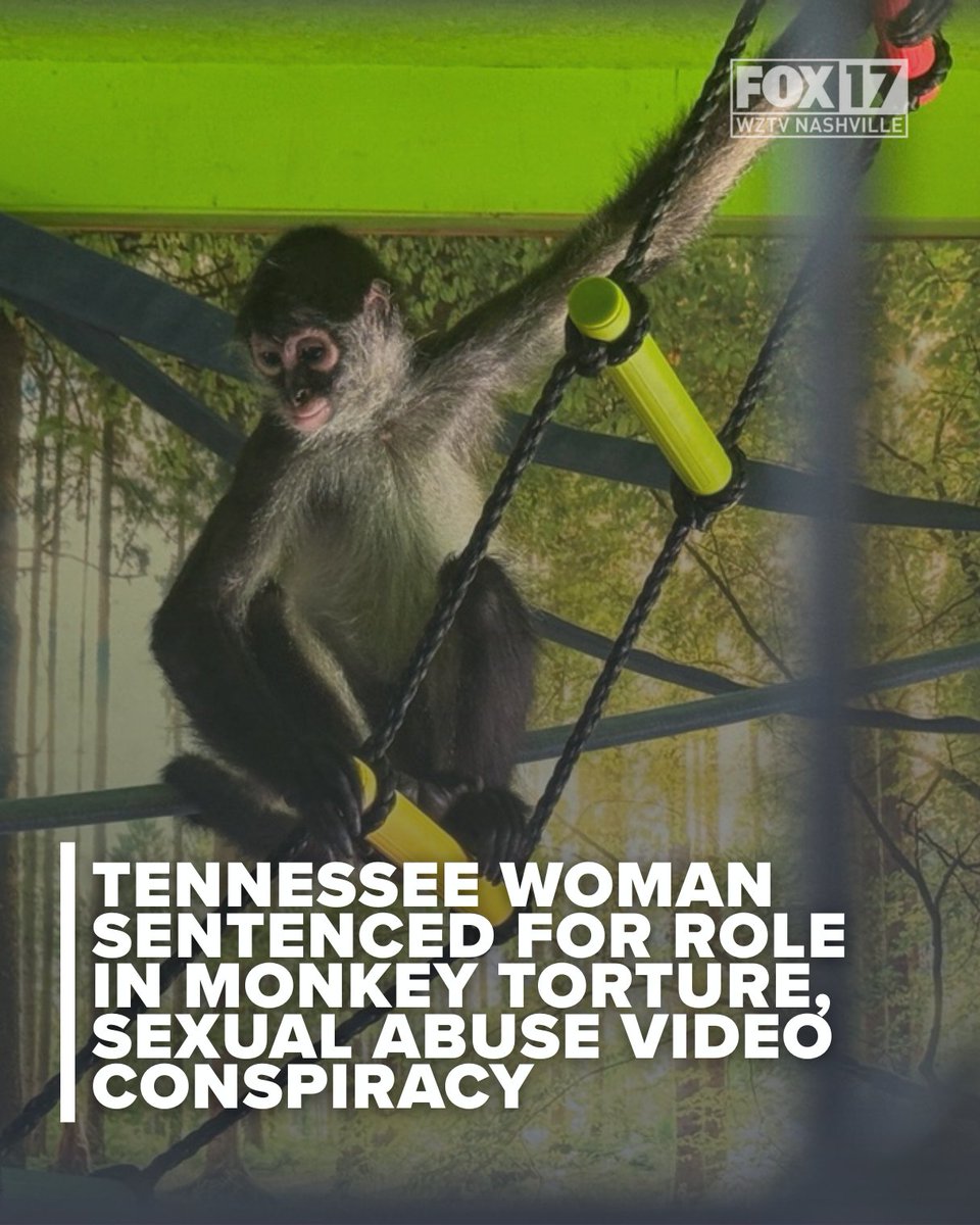 FoxNashville tweet media