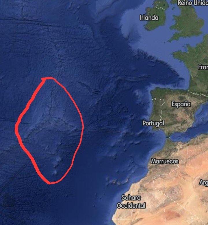 𝔏𝔢𝔩 🌦️ político-social tweet media