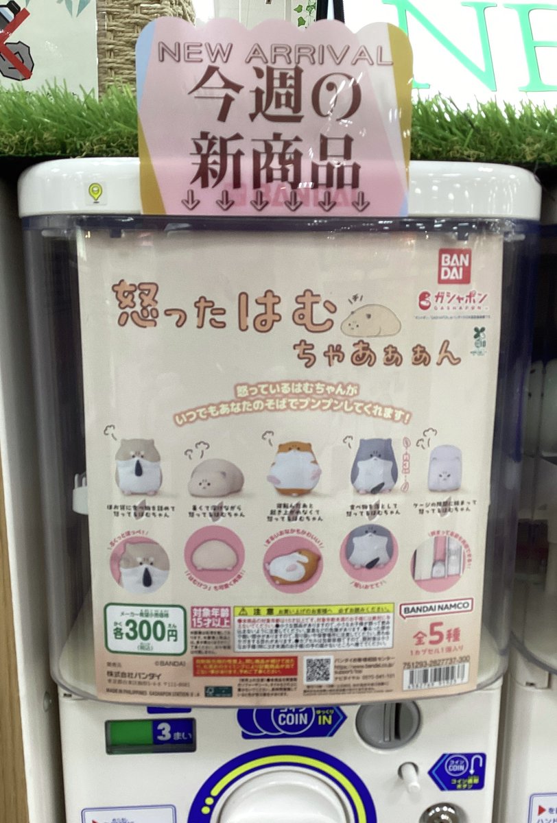 gashacoco(ガシャココ)【公式】 tweet media