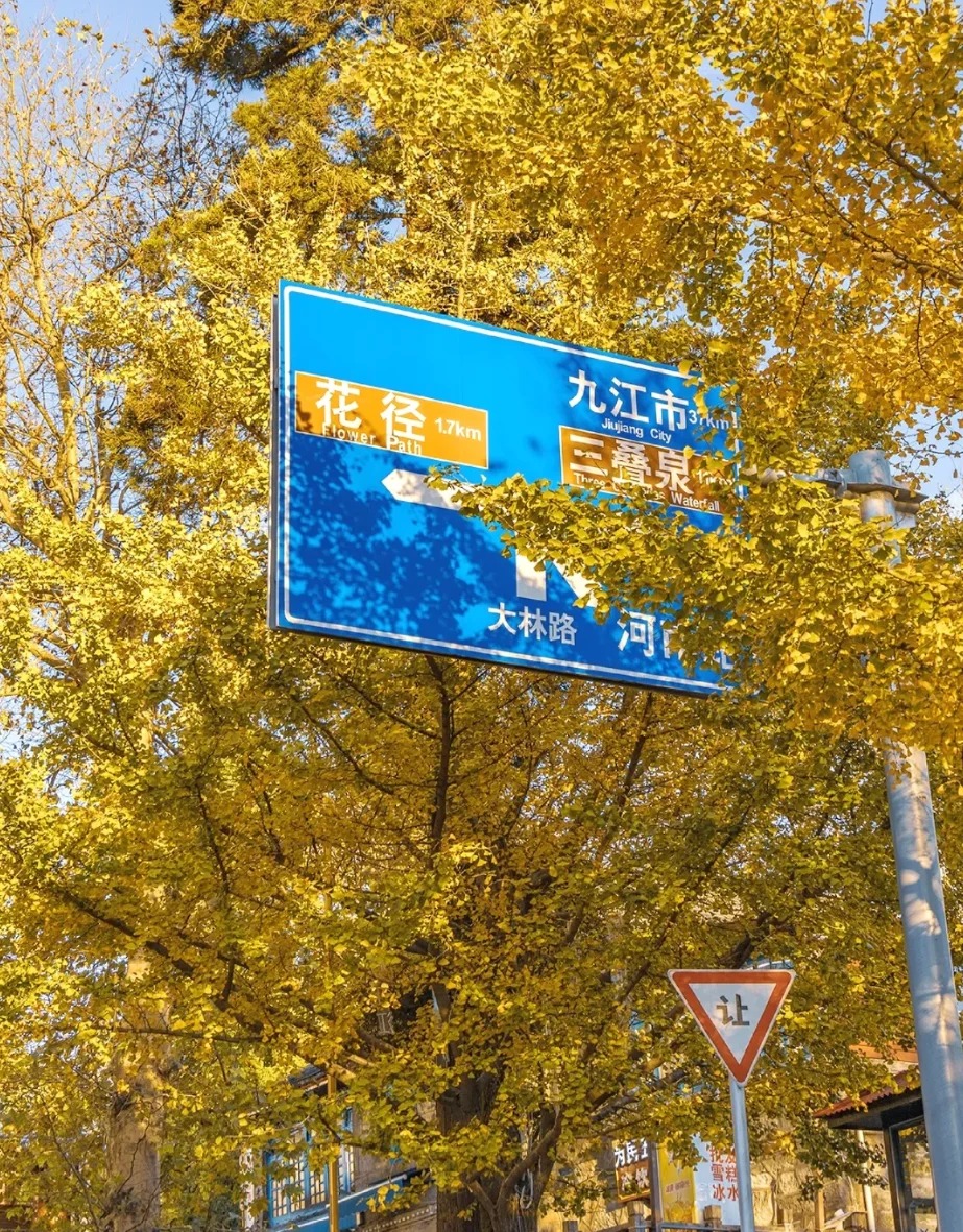 Muhammet tweet media