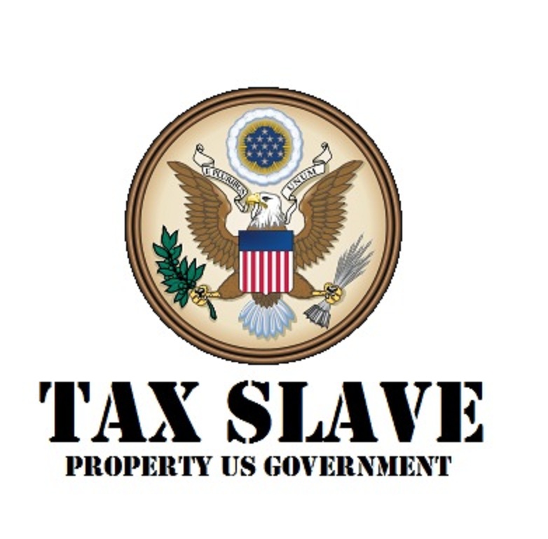 Alacrity Fitzhugh tweet media