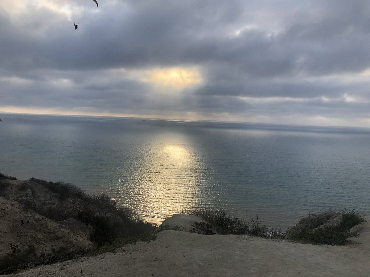 What Bob Thinks tweet media