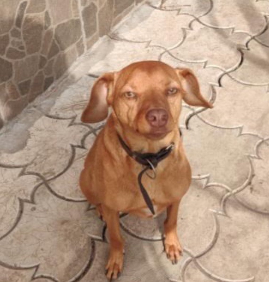 💛💙Hanna❤️🖤 tweet media