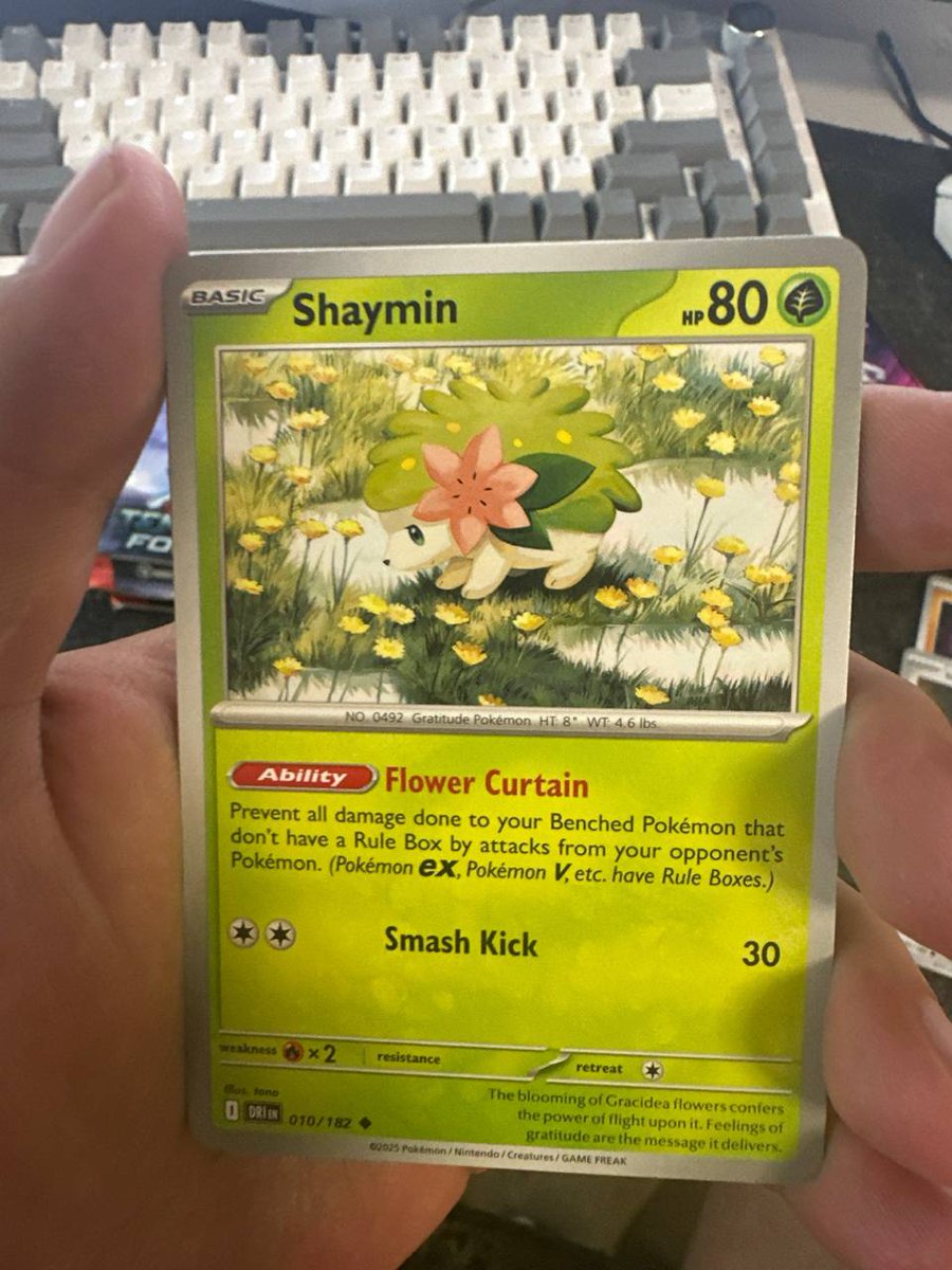 thekasik tweet media