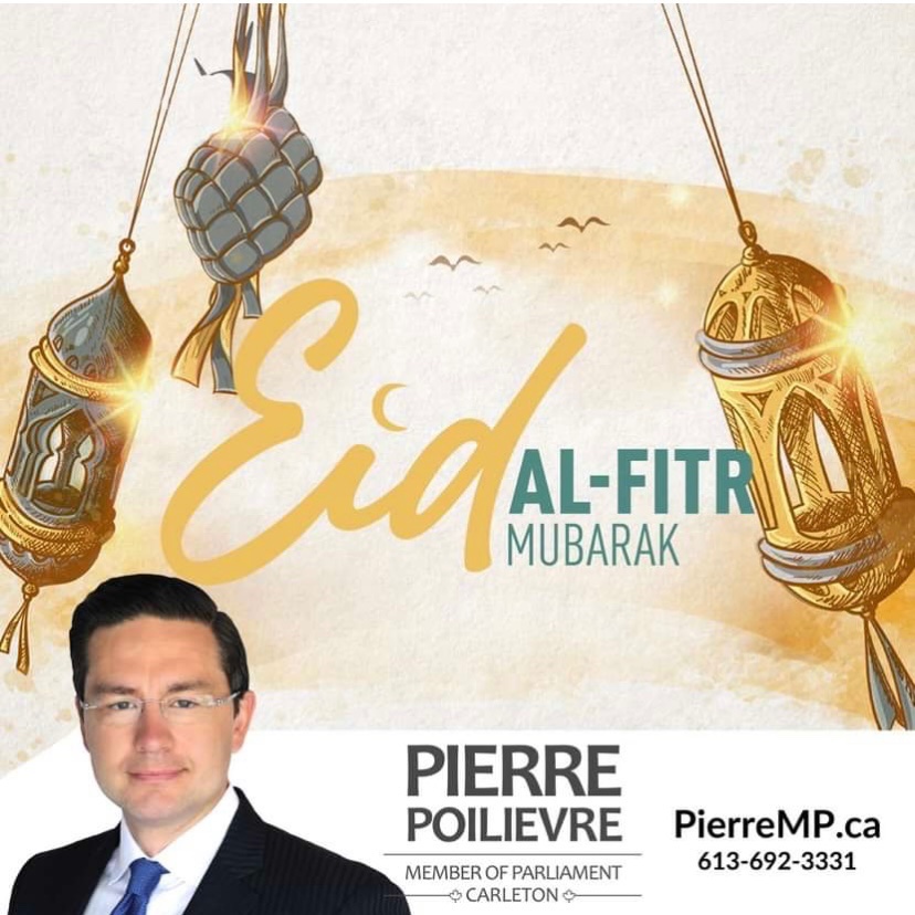 RobertPlausible tweet media