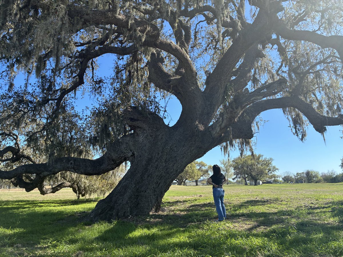 Dylan Baddour tweet media