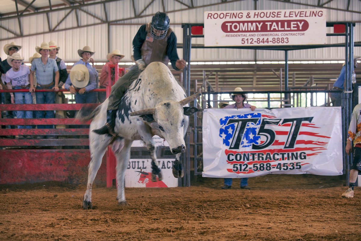 Carol from Carol's Little World 🏴‍☠️ tweet media