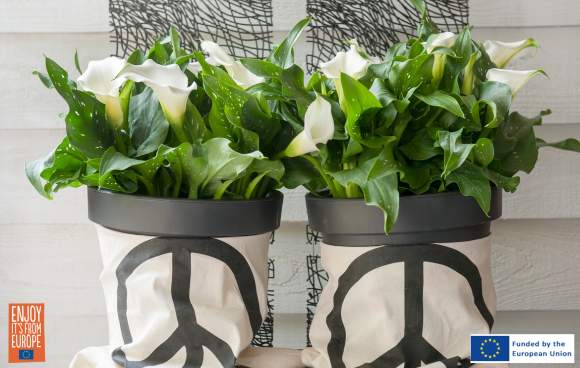 Garden Design Mag tweet media