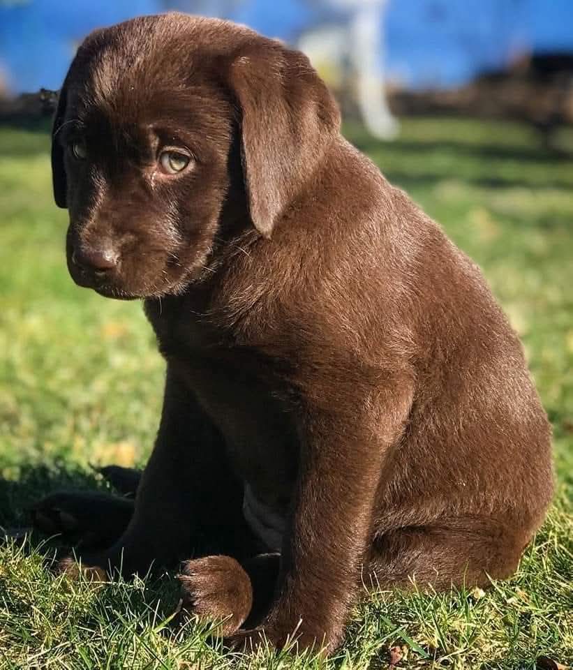 PawVibe 🐾 tweet media