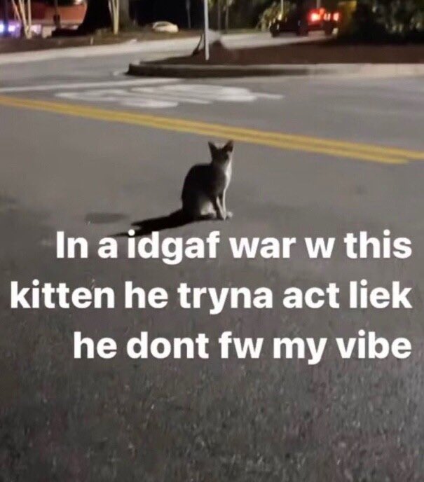 zedthethird🇪🇬☪ tweet media