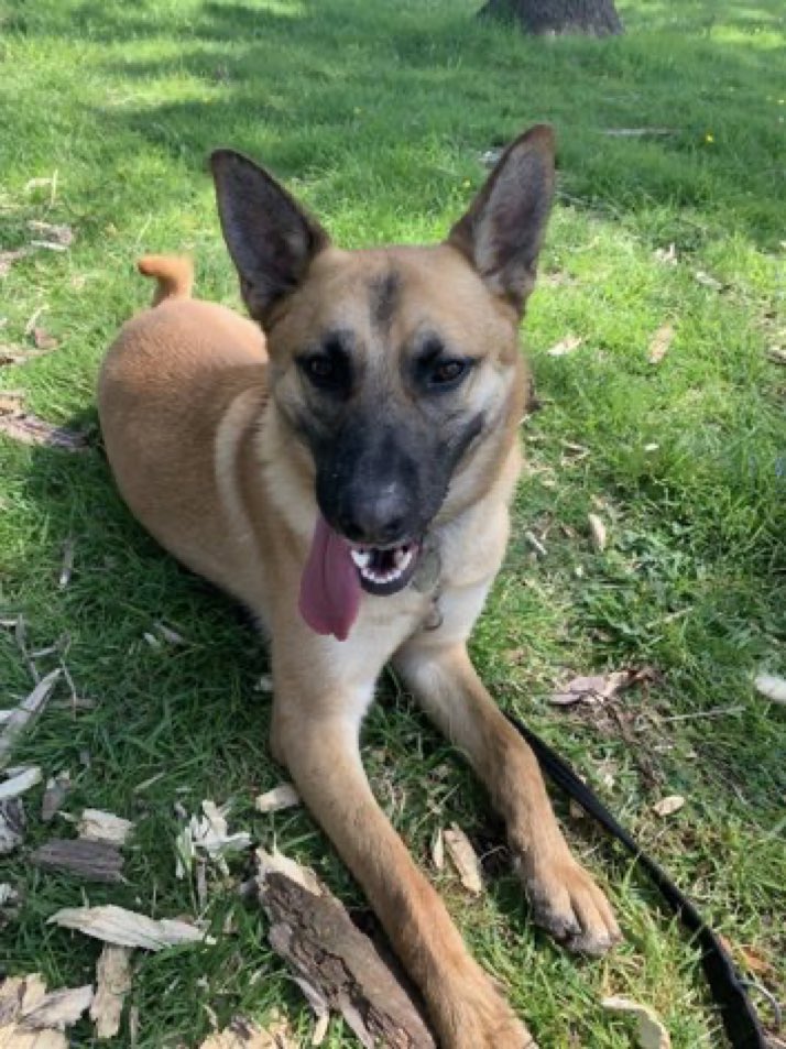 Lisa Clare Read 💙 tweet media