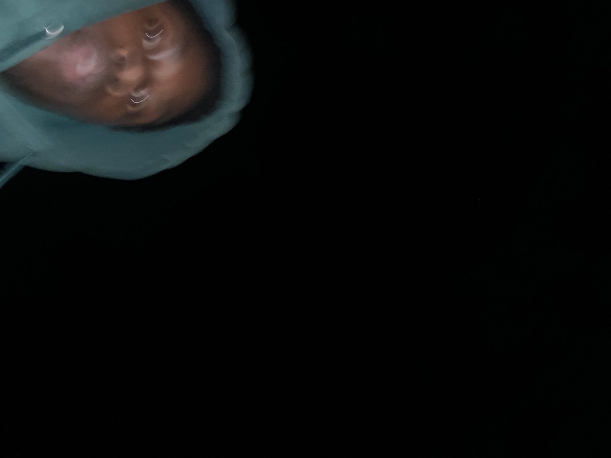 Laurel🦇 tweet media