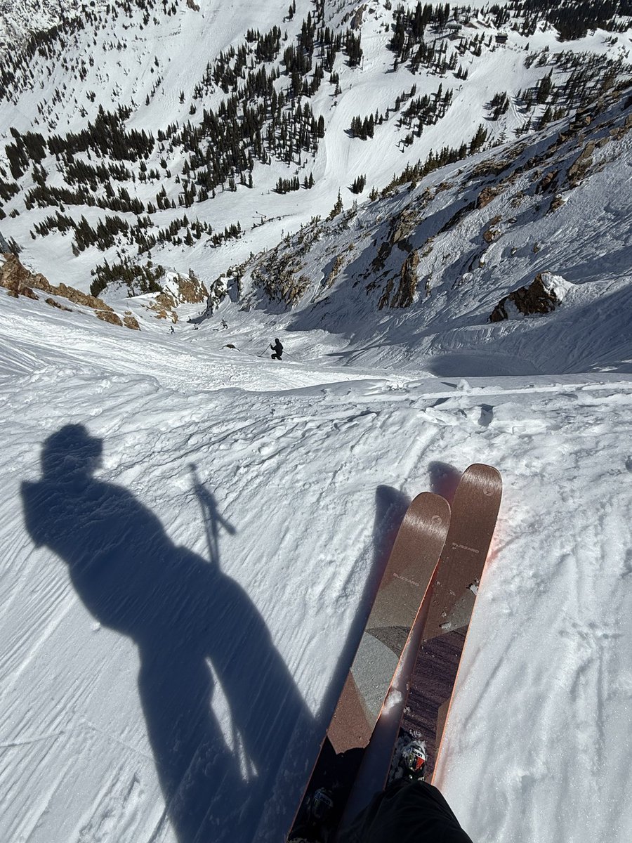 Lexi 🪷 tweet media