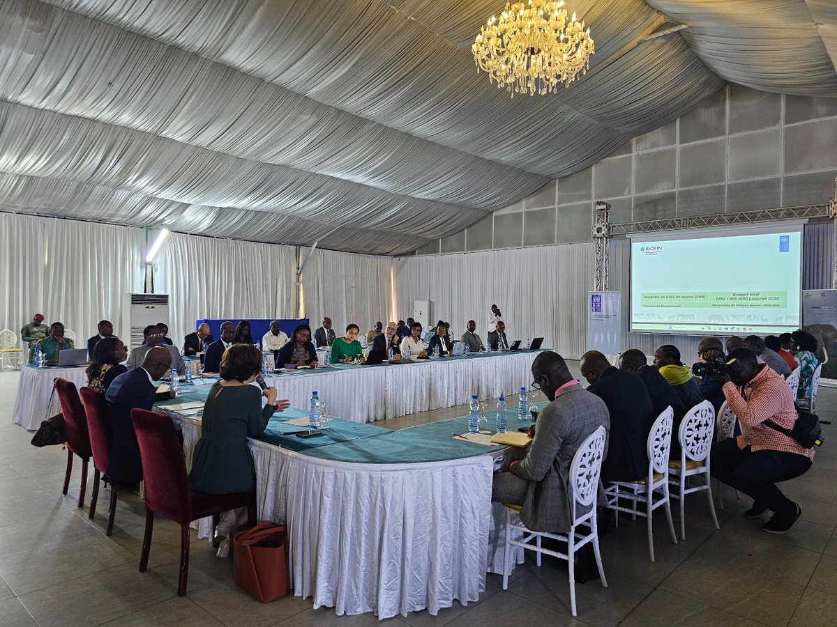 PNUD GABON tweet media