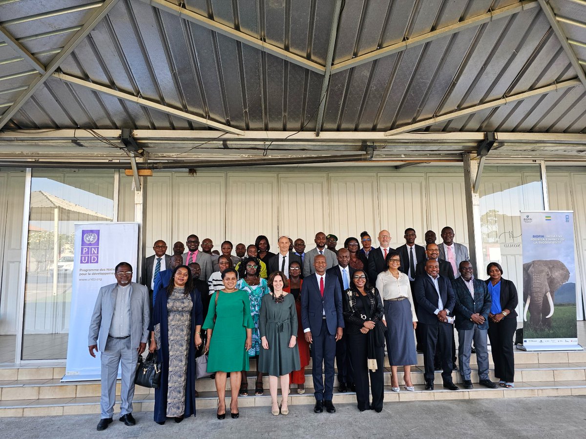 PNUD GABON tweet media