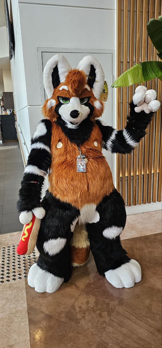 🌭 GOON DOG 🌭🔜@ FURDU’26 tweet media