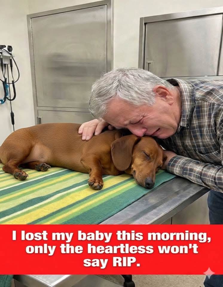 PawVibe 🐾 tweet media