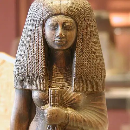 WithoutHistory tweet media