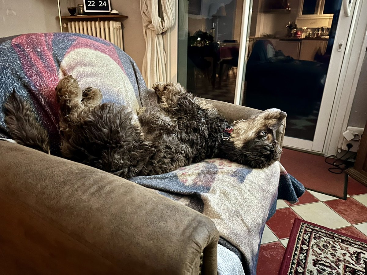 RobertLeCocker tweet media