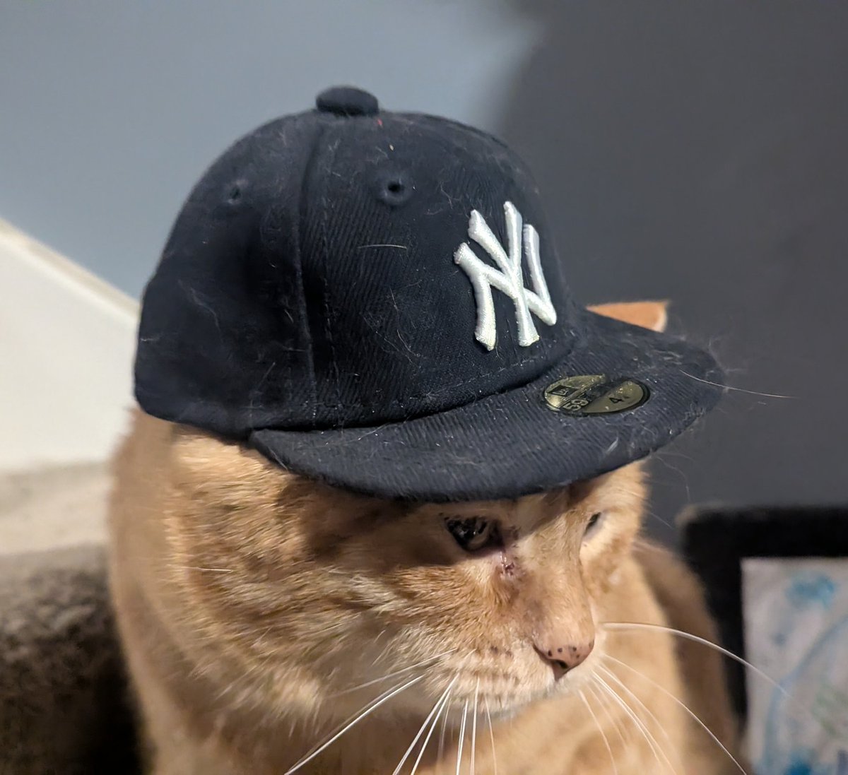 Geppetto San Martín 🚬🌭𓅸 tweet media