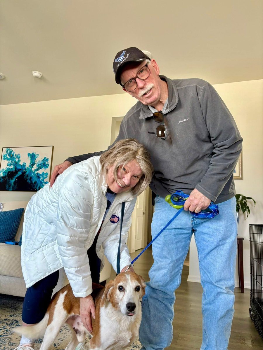 TriBeagles tweet media