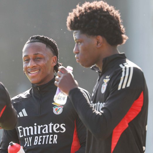 O Guerreiro da Luz tweet media