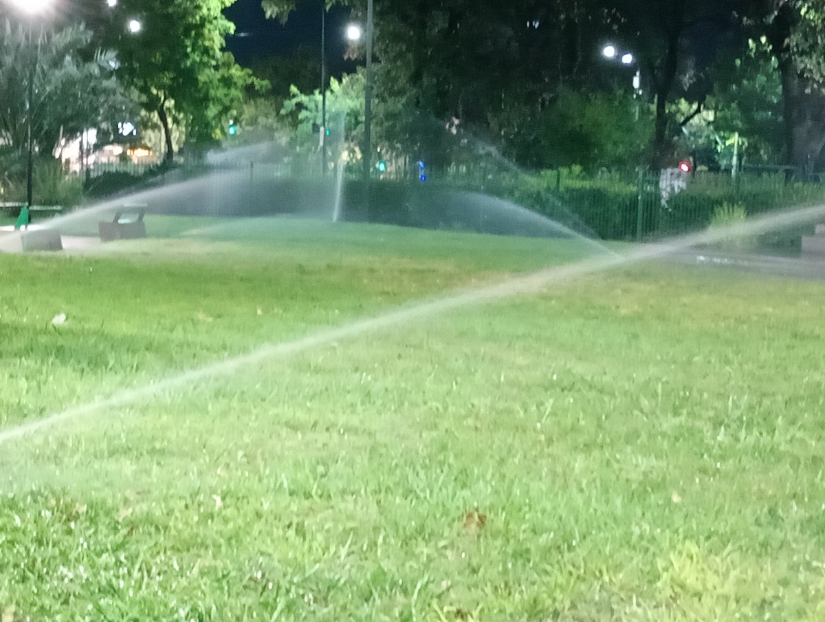 🏴‍☠️ Mai neim is M. Carolain 🇦🇷 tweet media