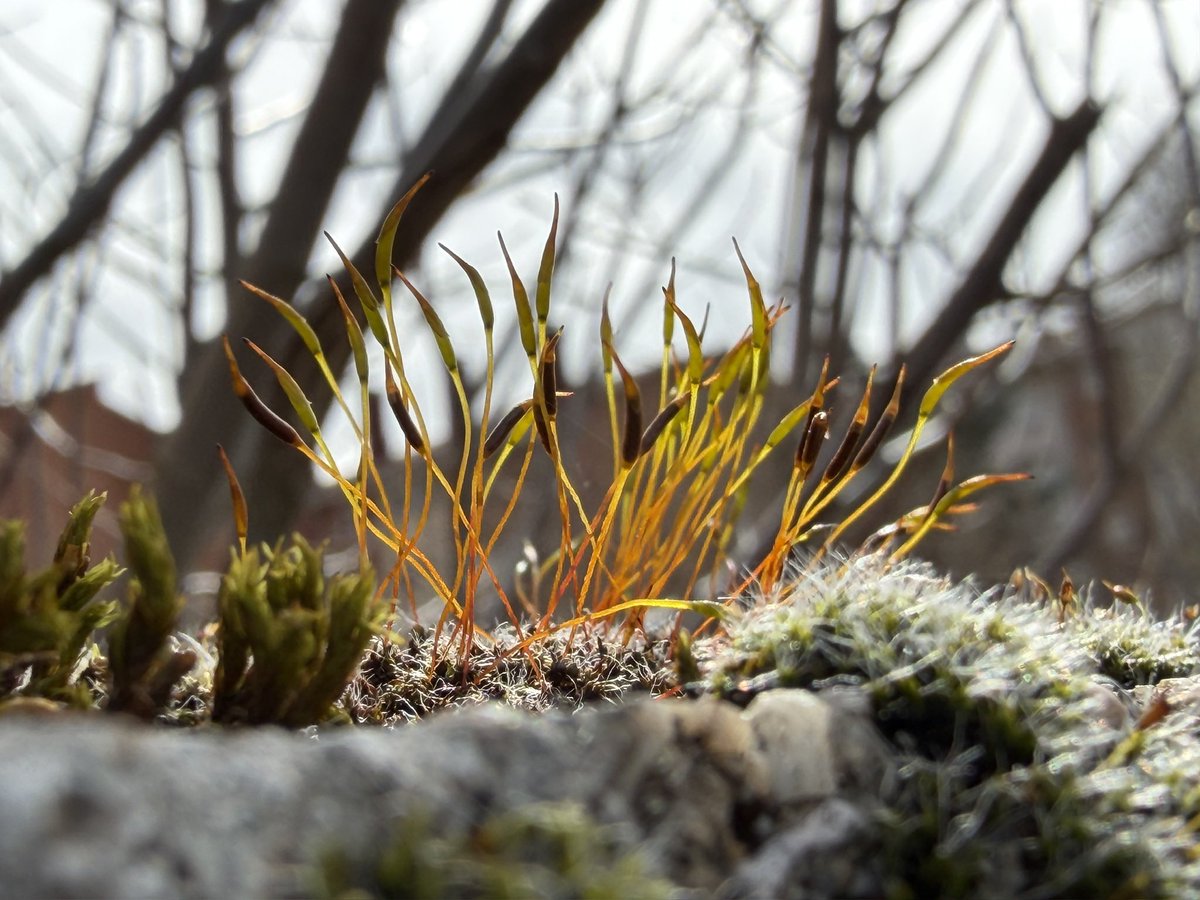 Adele Peabody tweet media