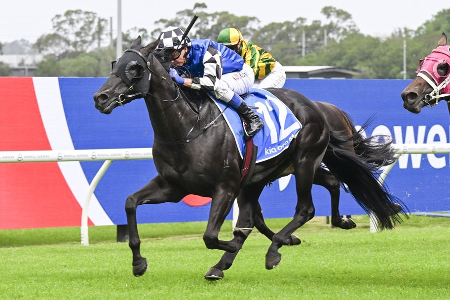 Racing NSW tweet media