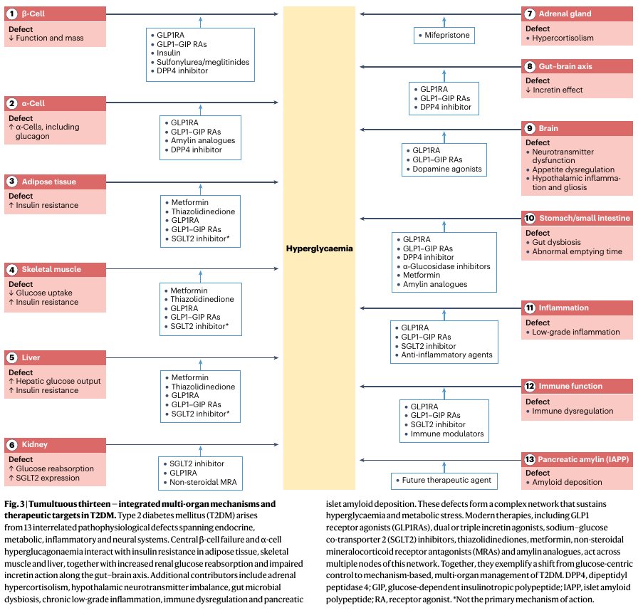 MHcsba's tweet image. Nature PRIMER 2026: DIabetes Mellitus tipo 2
#MedEd #MedTwiter #MedX
medicina-interna.org
