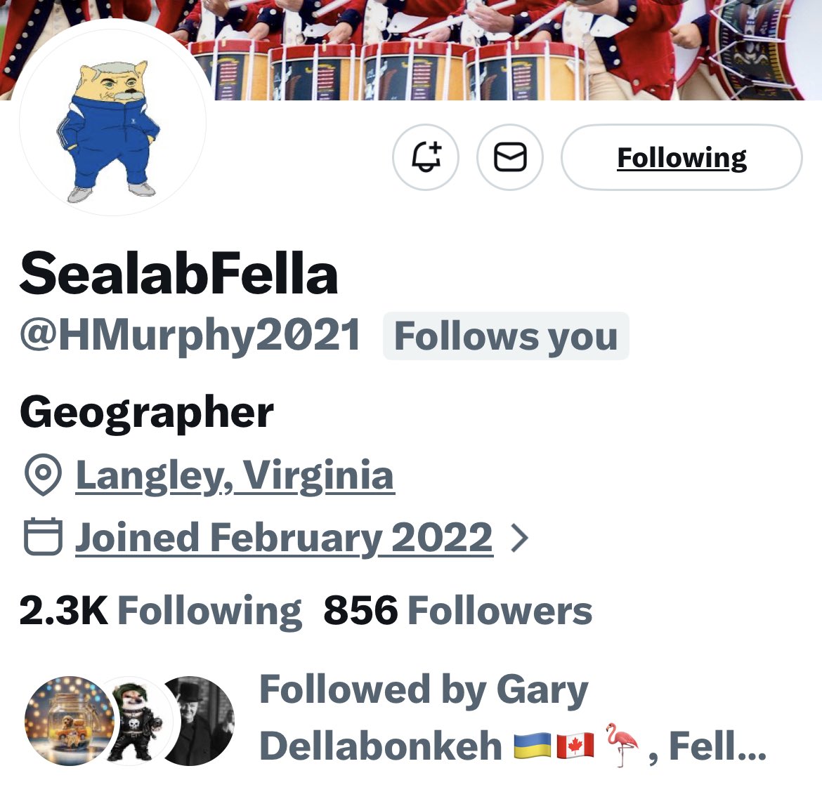 Turquoise Cat tweet media