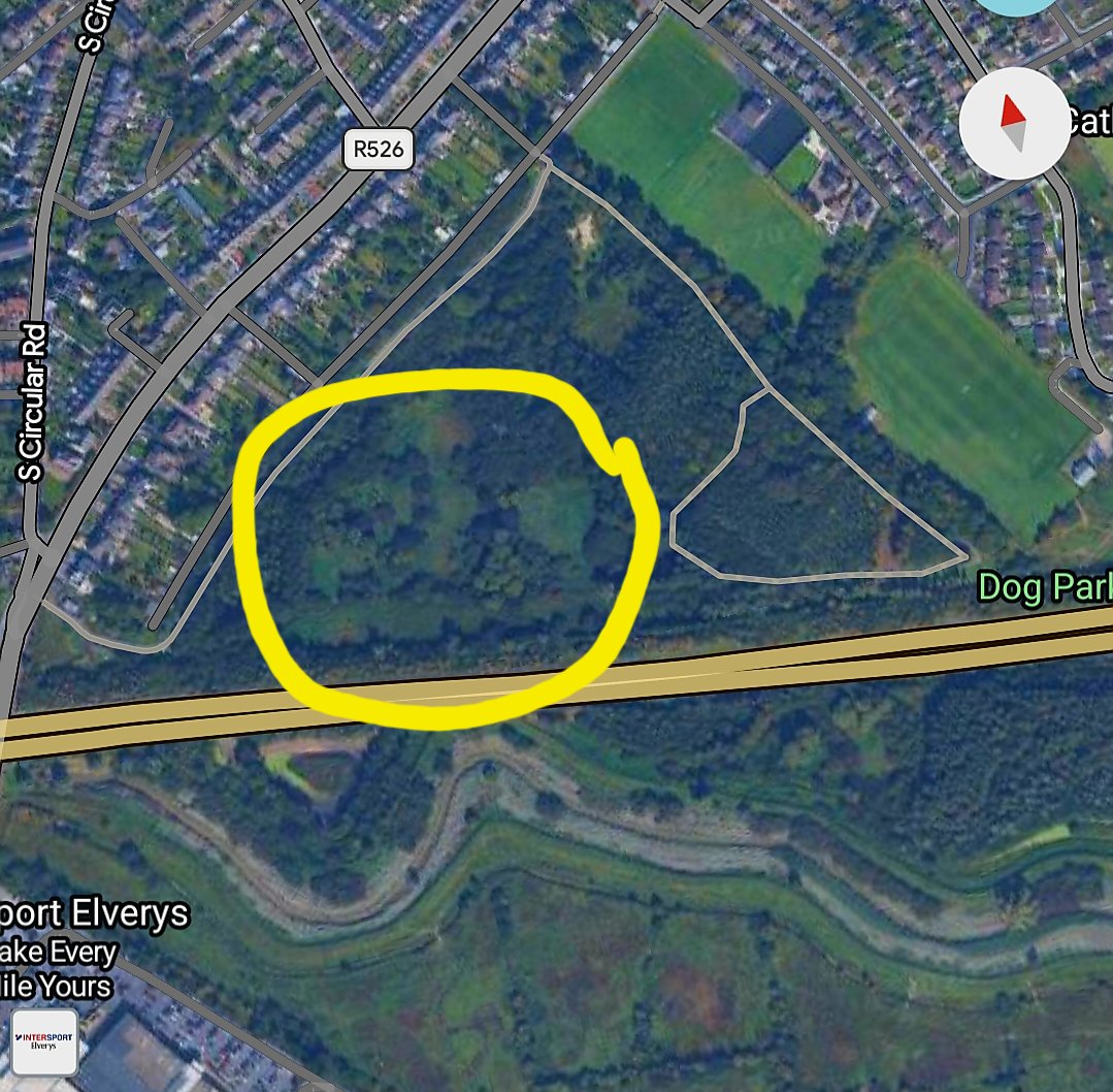 Maria Donoghue, Ind Councillor Limerick City West tweet media