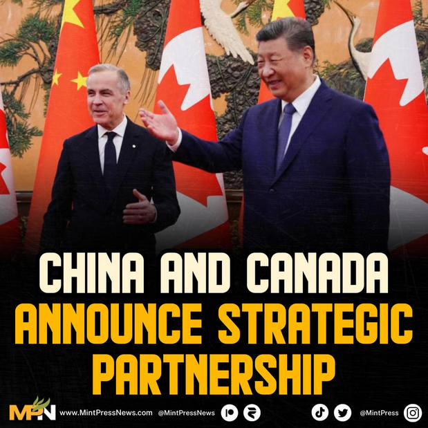 Fedup American 🇺🇲💪 tweet media