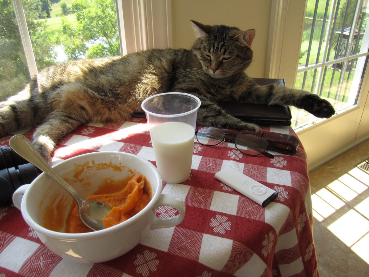 😺😸⚫️🔴🌕 tweet media