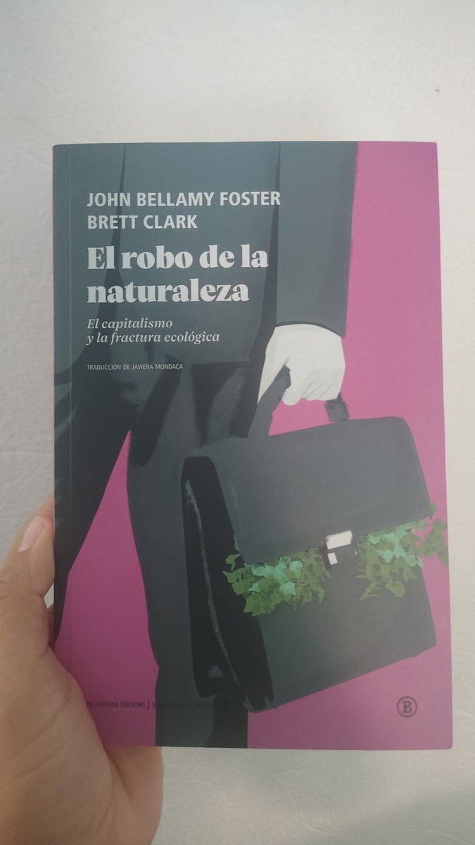 Rodrigo Mutis tweet media