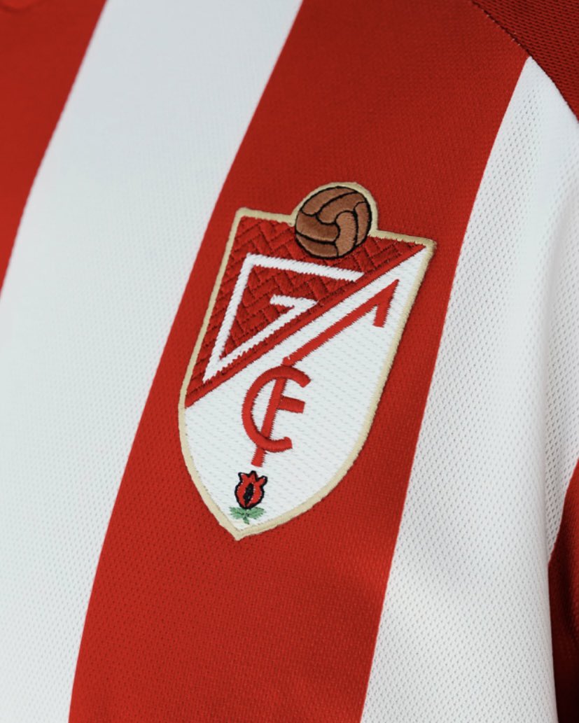 Cami Mudarra tweet media