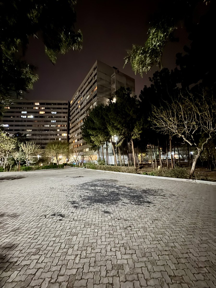 Ali Salehi tweet media