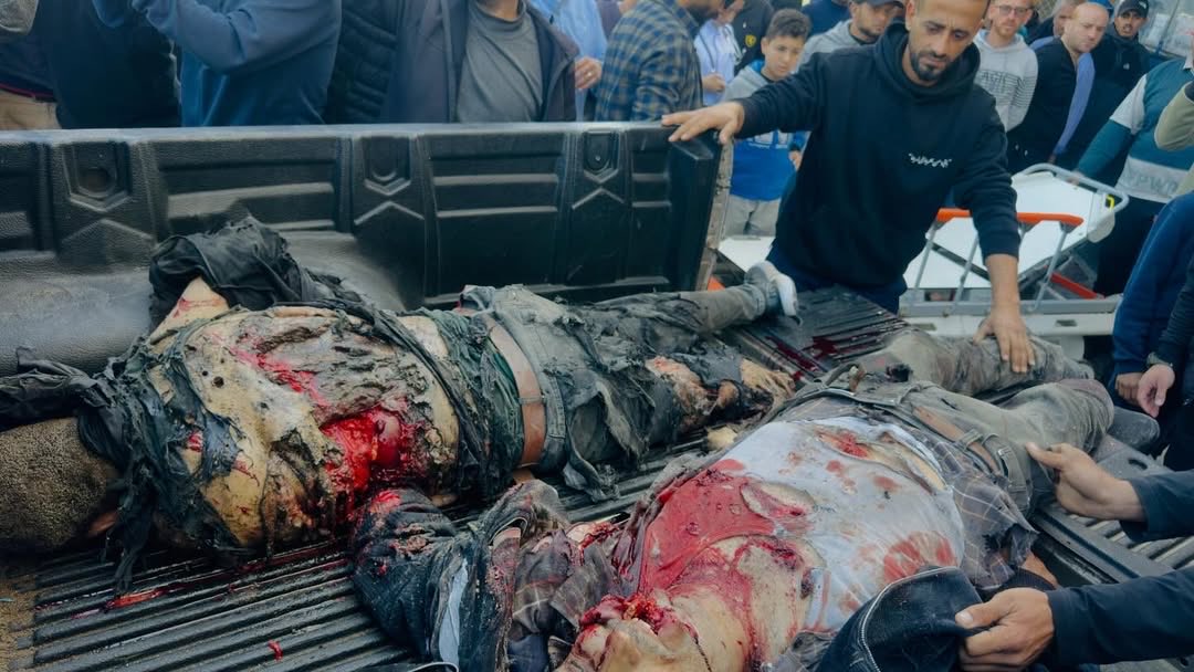 Manuel Rodriguez tweet media