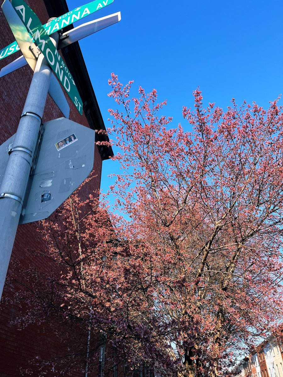 Jimmy King tweet media