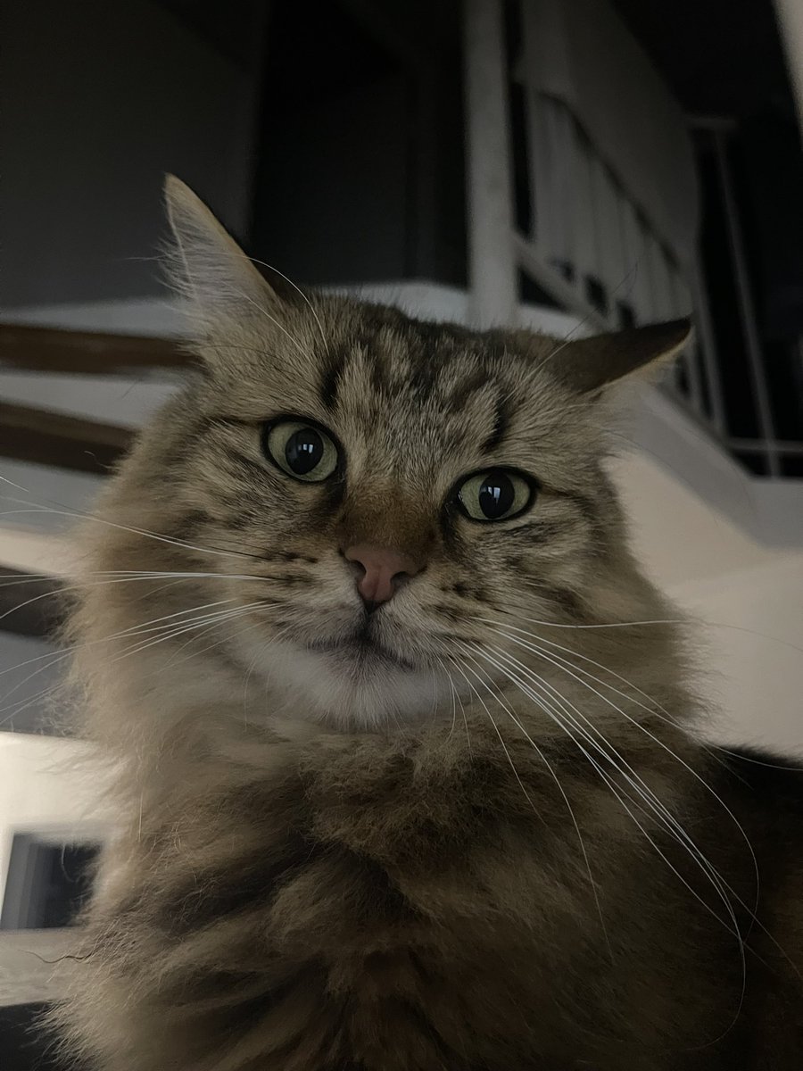 Atsu 🇩🇿 tweet media