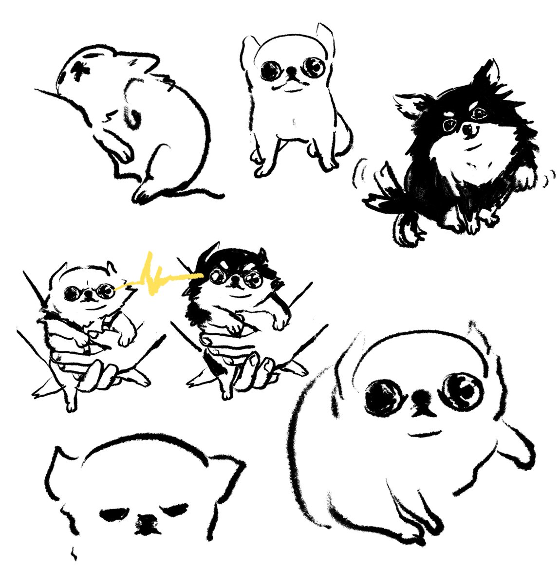 せいこせんせい(犬) tweet media