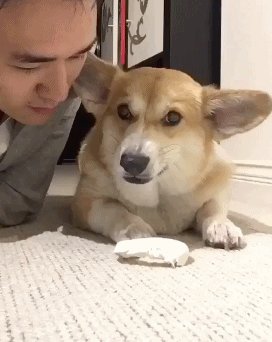 Helena Carlina tweet media