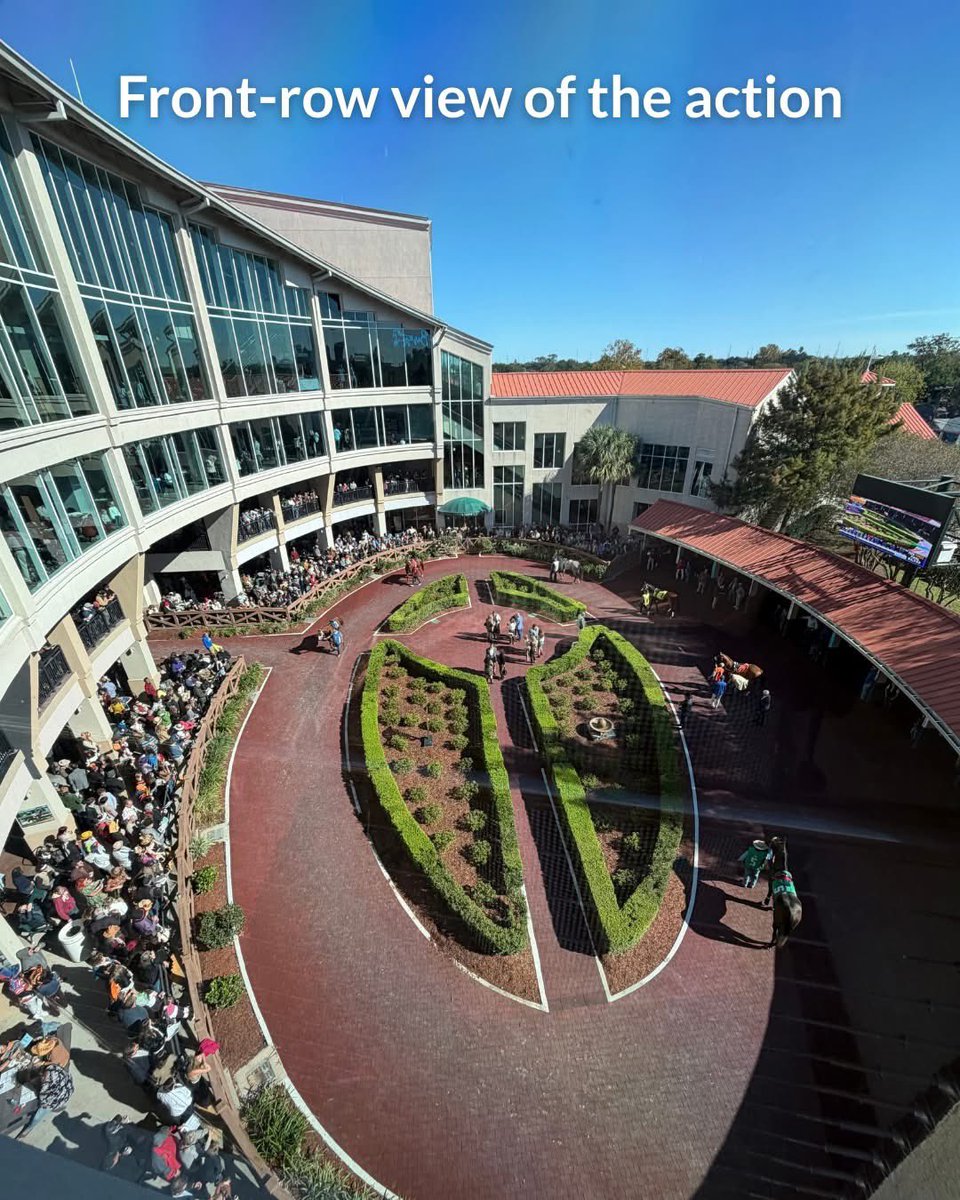 Messina's Catering and Events tweet media