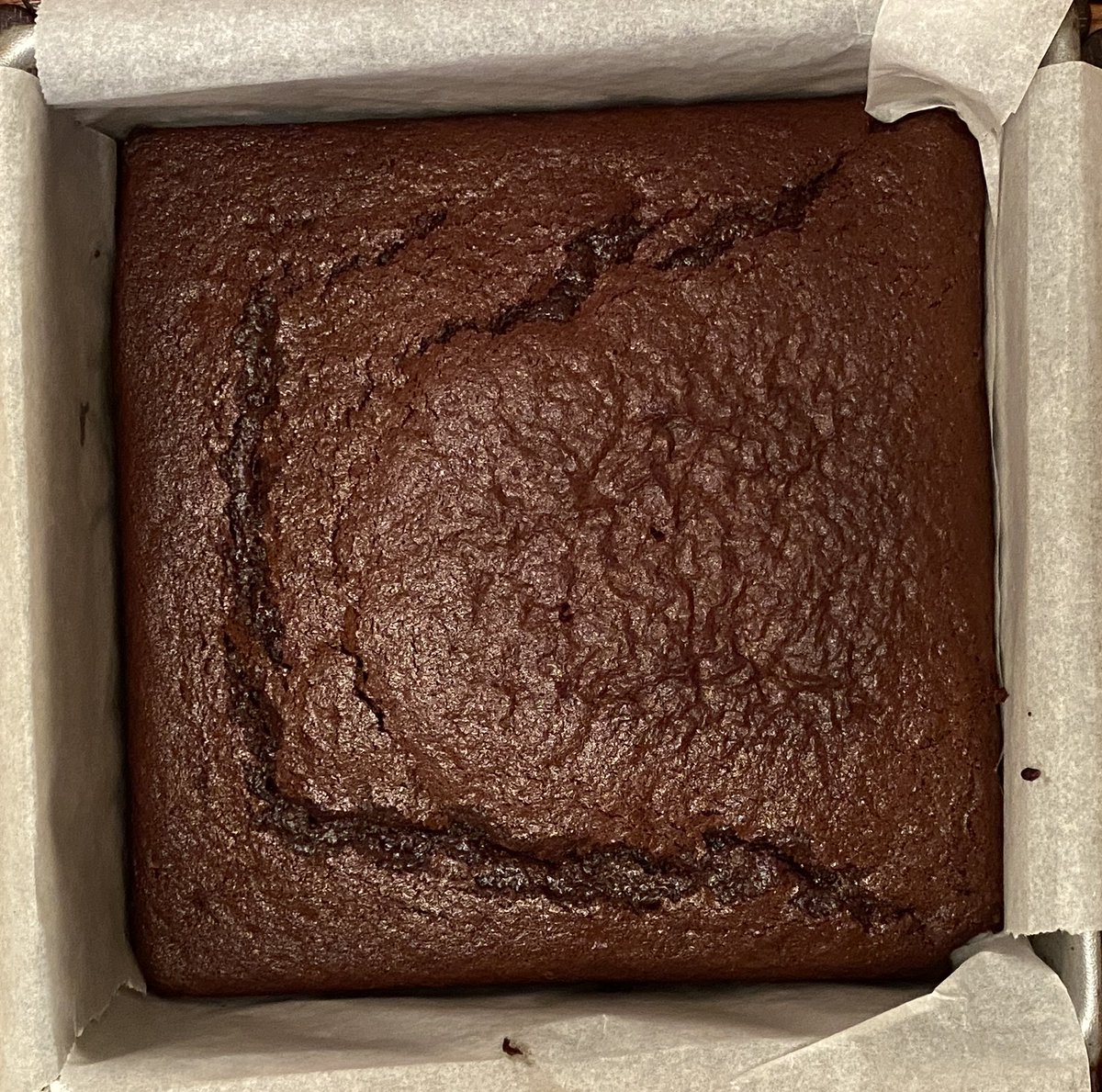 lyra 🌟 tweet media