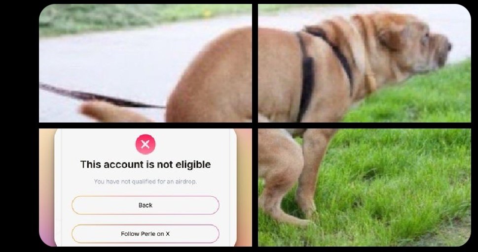 Alex- defi tweet media