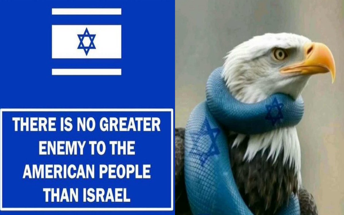 Brando88🇺🇲🇺🇲🇺🇲🍻 tweet media