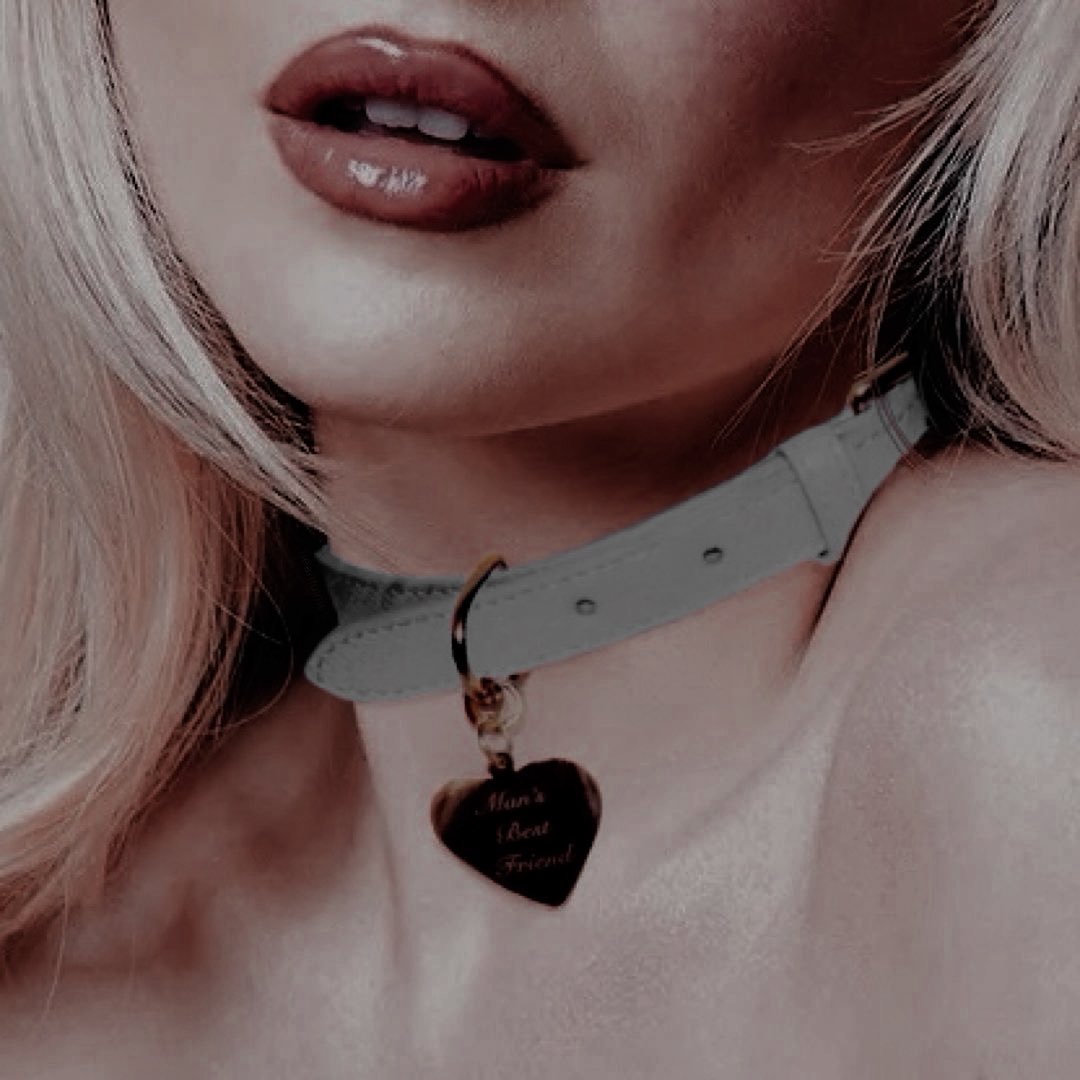 ₊˚꩜ Dαnıelle ✮˚₊ tweet media